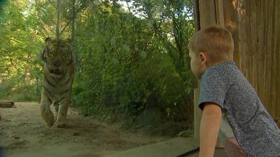 Pittsburgh Zoo & Aquarium hosts sensory-friendly mornings
