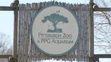 Pittsburgh Zoo & Aquarium hosting Pride Night