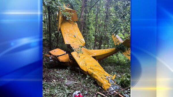 Pilot suffers life-threatening injuries in Elizabeth Township plane crash