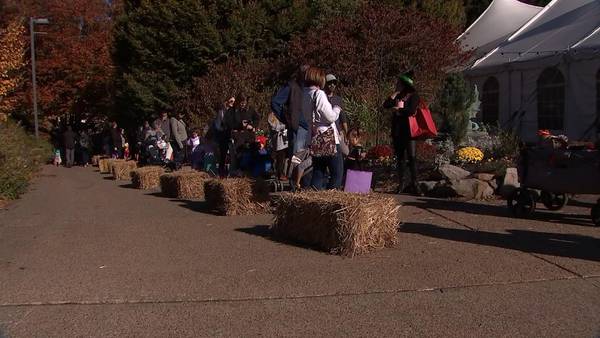 11 Cares: Families celebrate Halloween at Pittsburgh Zoo