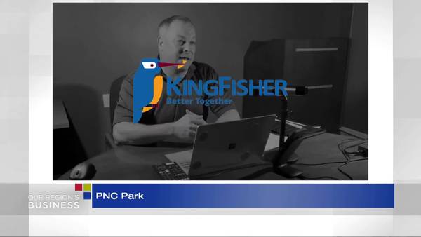 Our Region's Business - Kingfisher Services, Arkenstone Technologies