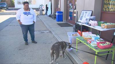 Beaver County community comes together to raise money for dog attacked with hatchet
