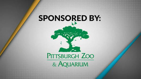 Take 5 - Pittsburgh Zoo and Aquarium