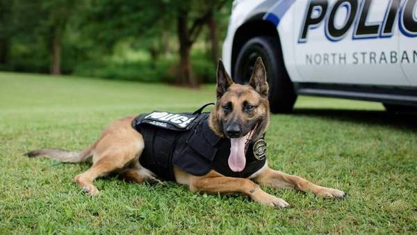 North Strabane Township police mourning loss of K-9 officer Drago