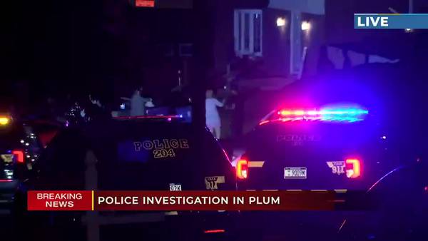 Home surveillance video of late night Plum shooting shows scene unfold