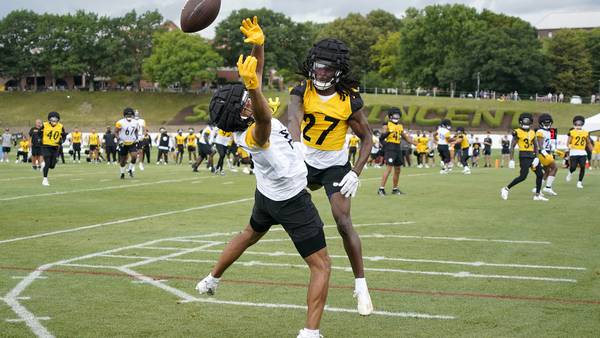Physical ex-Steelers WR joins UFL team