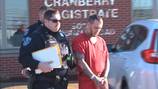 Man charged in Cranberry Township fatal DUI crash appears in court