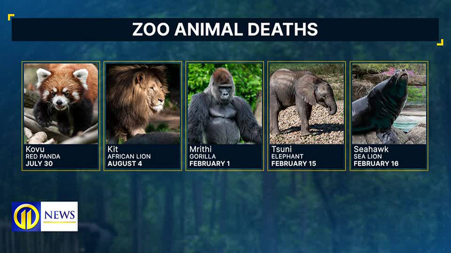 匹兹堡动物园CEO将就动物死亡事件发表讲话