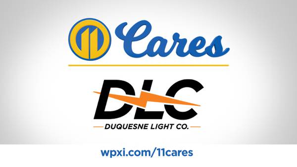 Local nonprofits can now apply for microgrants through Duquesne Light Company