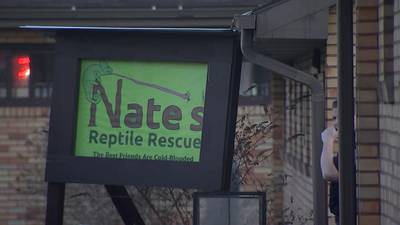 More than 70 animals died in fire at South Park reptile rescue