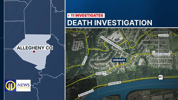 Death of man, 31, found unresponsive in police custody being investigated by Allegheny County police