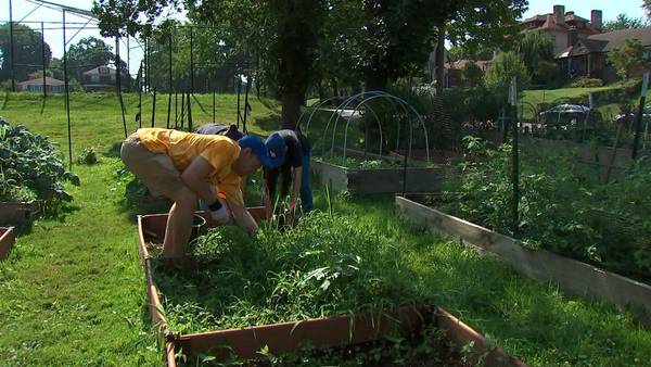Sally and Howard Levin Clubhouse uses gardening to help people with mental illnesses