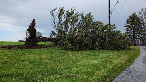 PHOTOS: Storms, 60 mph winds roll through Pittsburgh region, causing damage, power outages