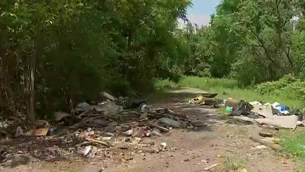 Pittsburgh reveals plan to eradicate litter and dumping