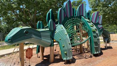 Anderson Playground at Schenley Park reopens