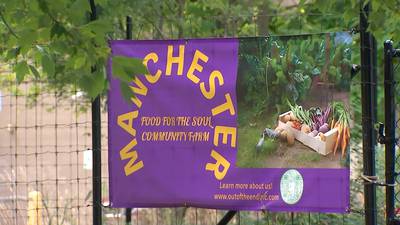 ‘We don’t want to leave’: Community garden in Manchester area in danger of losing its space