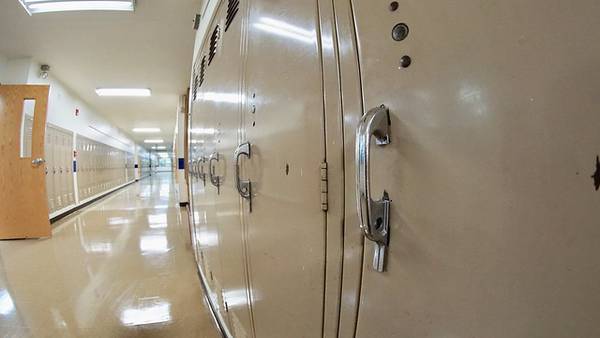 State lawmakers pushing for stronger guidelines as local schools make security improvements