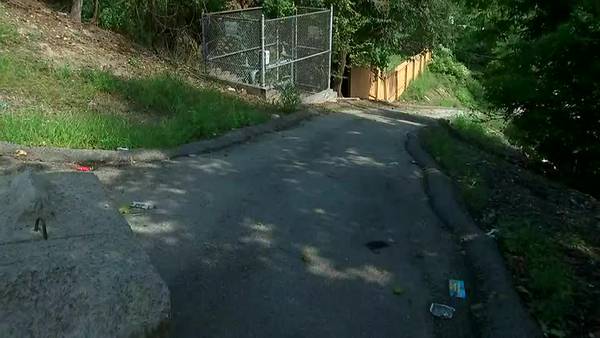 Grandmother said grandchildren assaulted while walking home from school in McKeesport