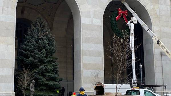 Pittsburgh’s 107th holiday tree found; Light Up Night festivities planned