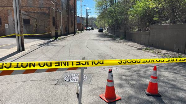Human remains found in Aliquippa
