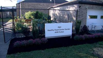 AHN, PNC Bank team up to create produce garden to promote healthy living