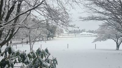 PHOTOS: Snow falls on Western Pennsylvania