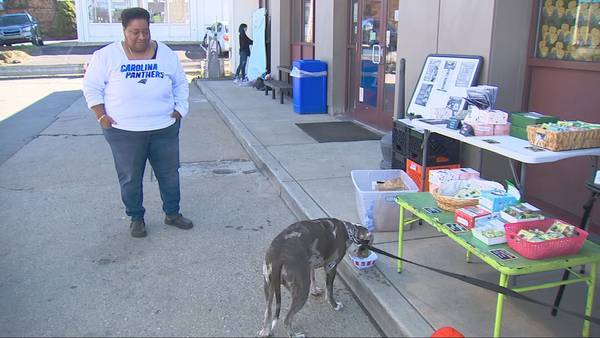 Beaver County community comes together to raise money for dog attacked with hatchet
