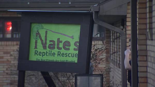More than 70 animals died in fire at South Park reptile rescue