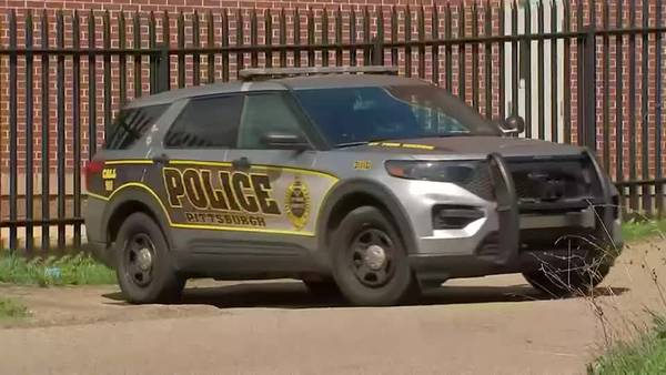 City councilman calls for updated Pittsburgh police cruisers