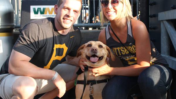 Pittsburgh Pirates partners with dog food brand Bully Max for special ‘Pup Nights’