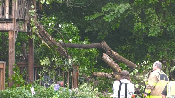 Tree crashes onto home during severe thunderstorms in Trafford