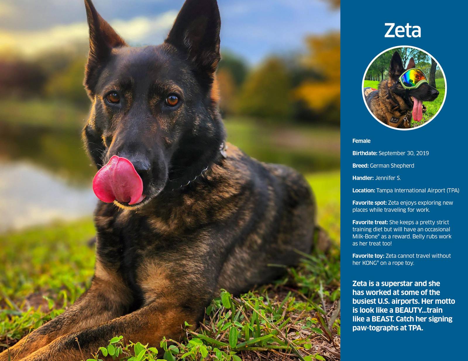 Photos TSA 2024 canine calendar WPXI