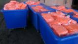 Customs officials find nearly 3,000 pounds of meth in shipment of carrots