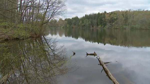 Some neighbors against proposed development around Peters Lake Park