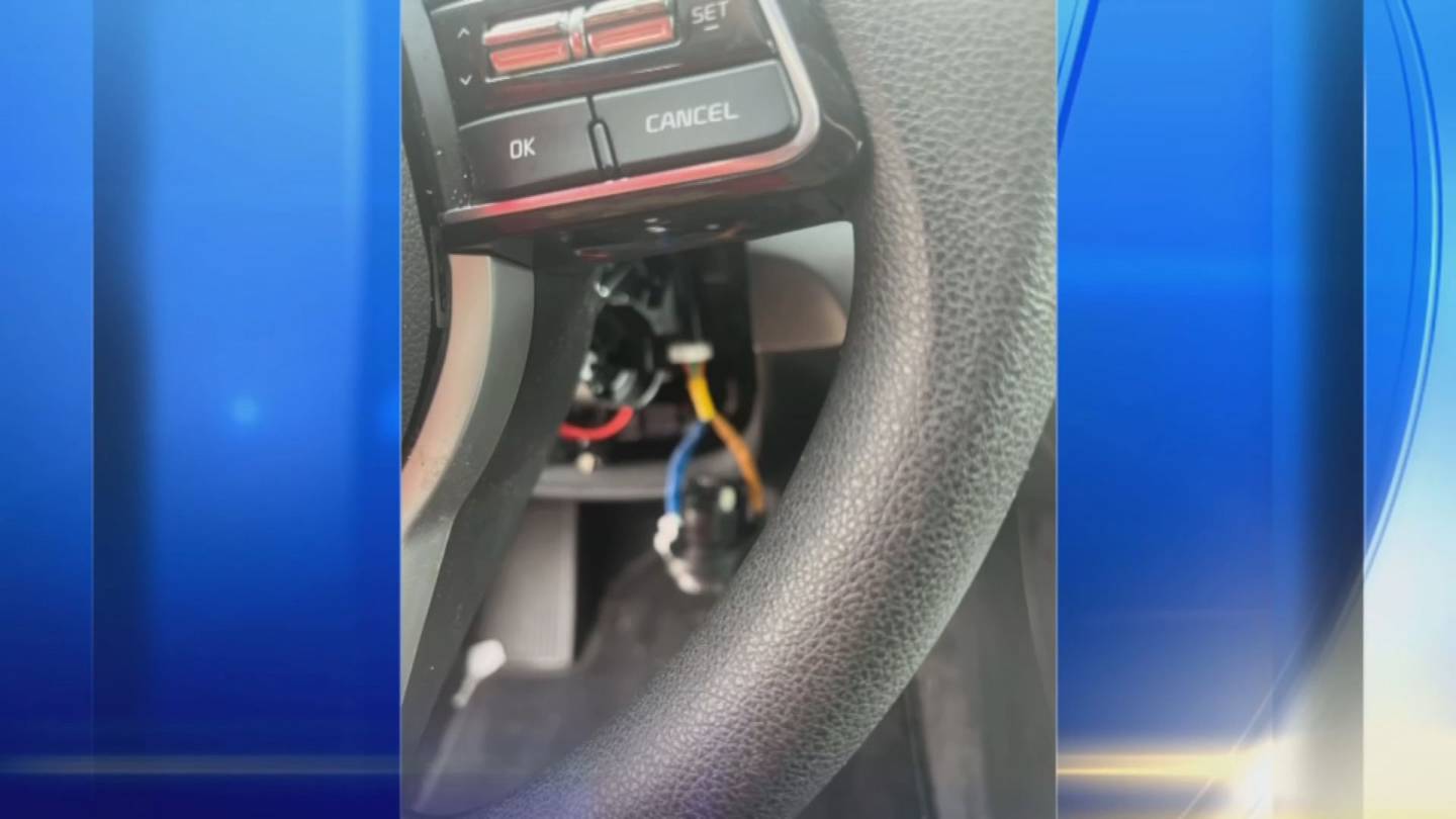 麦基斯罗克斯警方警告：盗贼使用USB线窃取最新汽车