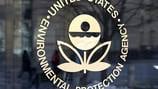 EPA bans DCPA, can pose serious health risk to fetuses