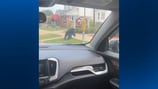Bear spotted running through downtown Kittanning