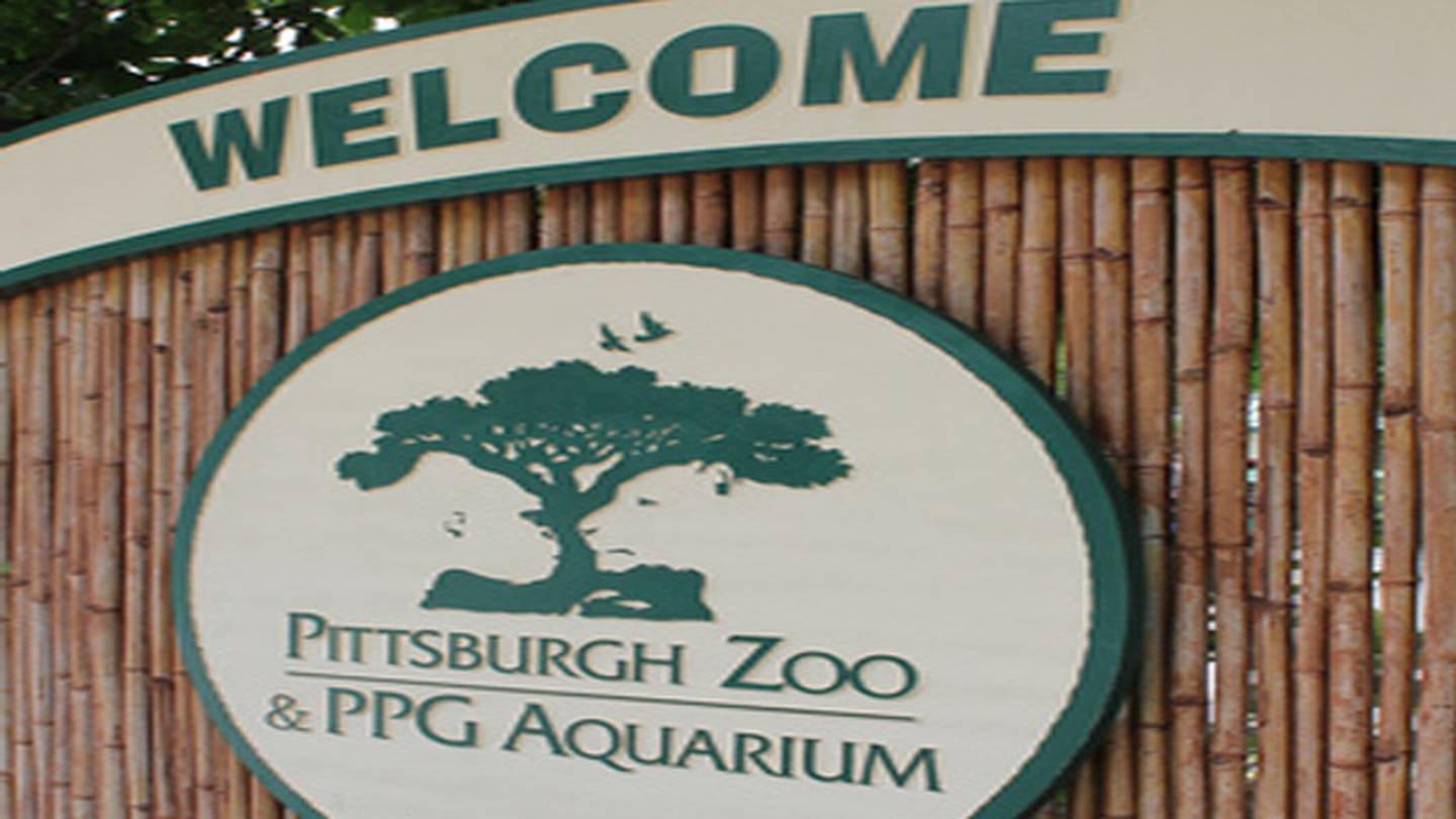 Pittsburgh Zoo offering free admission for 12 days WPXI