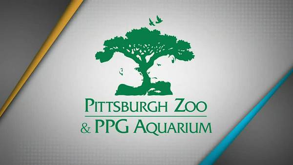 Take 5 - Pittsburgh Zoo & PPG Aquarium