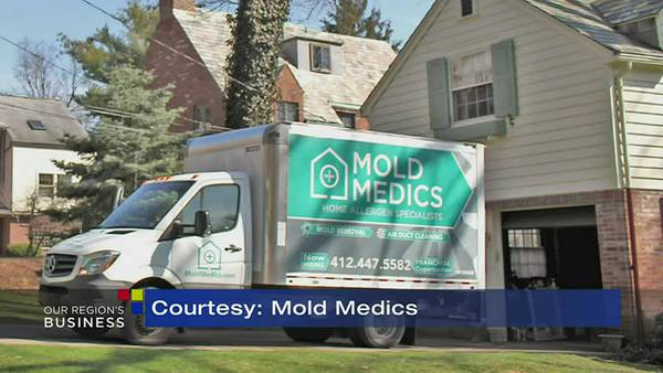 Our Region's Business - Mold Medics