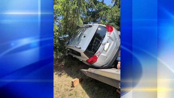 Vehicle crashes into trees, rolls onto its side in Whitehall
