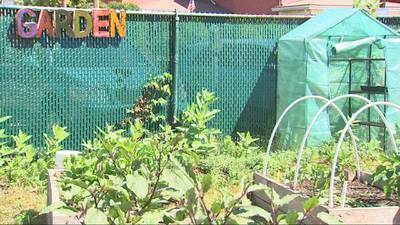 PHOTOS: Humane Action Pittsburgh breaks ground on pollinator garden in Sharpsburg