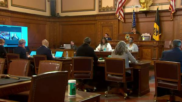 Pittsburgh City Council approves $90,000 settlement to man claiming police used excessive force