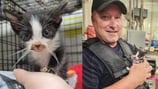 Kitten used by kids to play catch adopted by Western Pa. officer who saved him