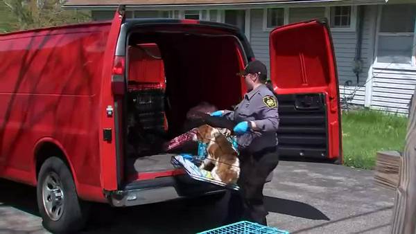 5-year-old boy, more than 20 animals removed from house deemed unsafe in Beaver County