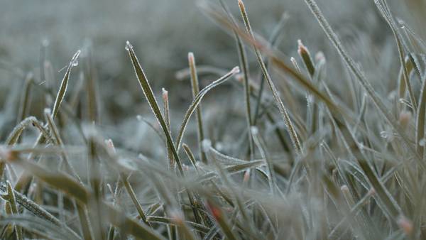 Frost possible overnight, expect a chilly start to the week