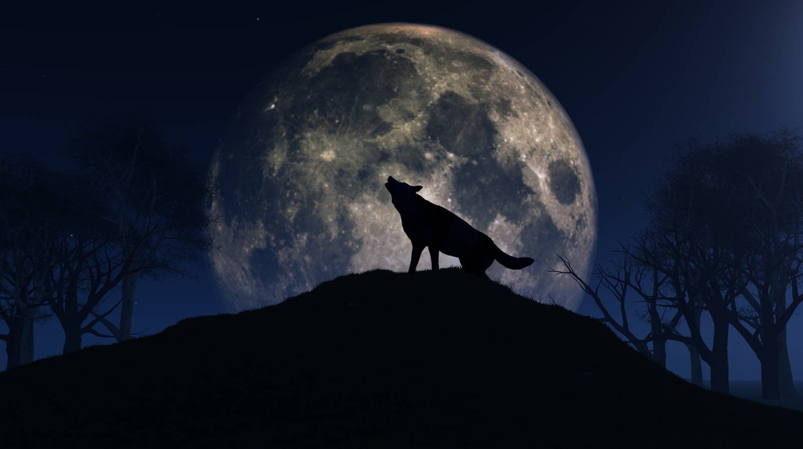 Wolf Moon First full moon of 2024 to shine bright this week WPXI