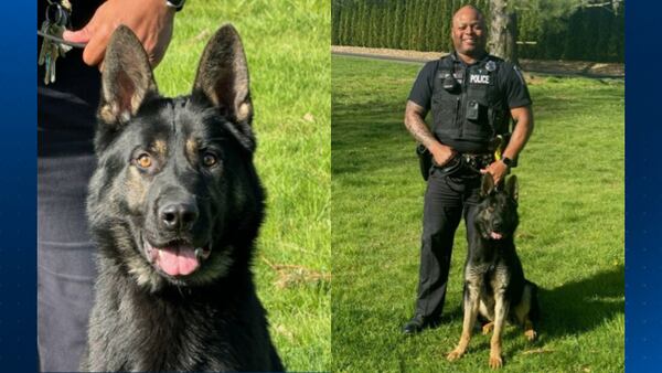 Center Township Police Department welcomes new K-9 officer, Tonda