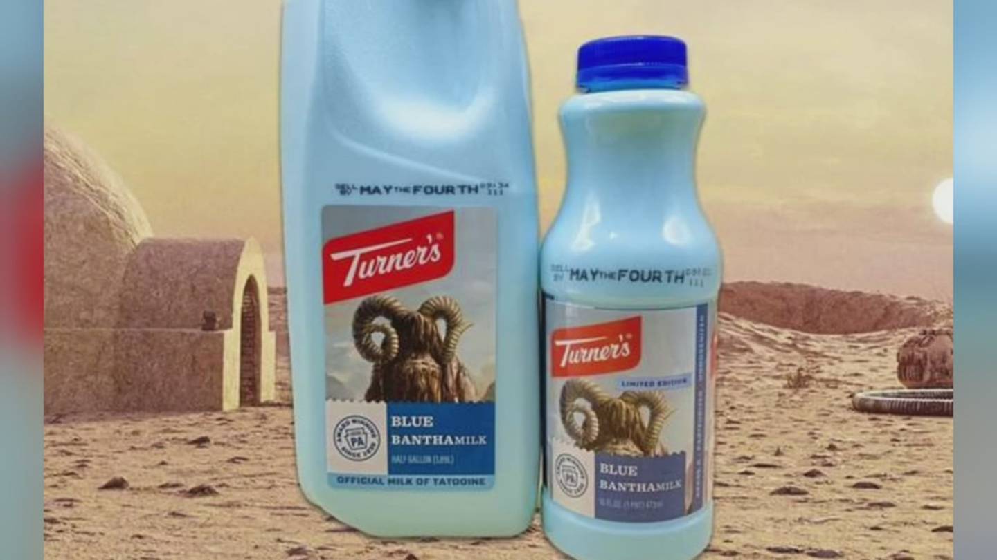 Turner's Dairy Blue Bantha Milk 1 Pint jug with May the Fourth 