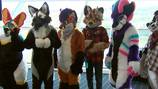 Anthrocon returns to Pittsburgh
